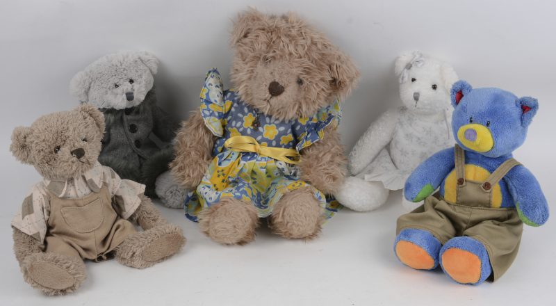 Vijf diverse teddyberen van verschillende afmetingen.