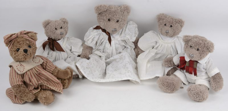 Vijf diverse teddyberen van verschillende afmetingen.