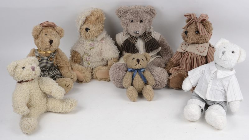 Zeven diverse teddyberen van verschillende afmetingen.
