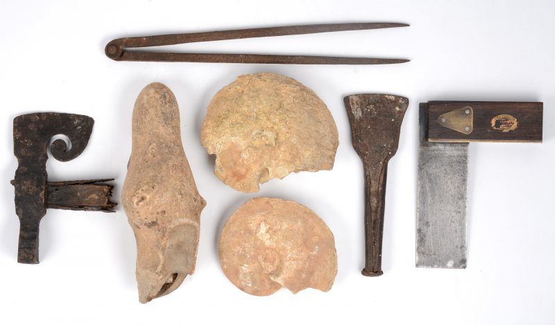 Een lot archeologische vondsten, bestaande uit fosiele schelpen, een blikseminslag, een bijl, een bijtel, passer en winkelhaak.