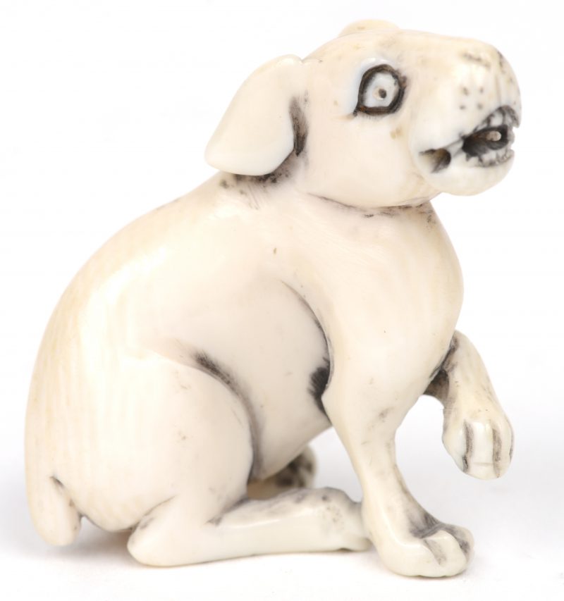 Een gesneden ivoren netsuke in de vorm van een zittende hond die zijn linker voorpoot optilt. Japan, XIXe eeuw. Gesigneerd onderaan. Met certificaat.