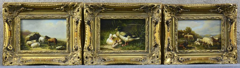 Drie olieverfschilderijtjes op paneel met vee en eenden in de geest van de XIXe eeuw.