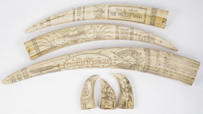 Een lot kunststoffen replica’s van XIXe eeuwse scrimshawtanden, bestaande uit drie walrustanden en drie potvistanden.