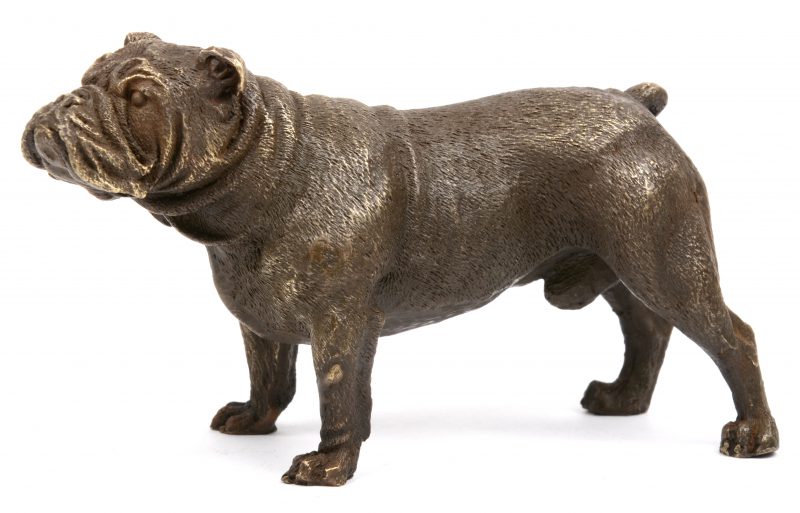 Een bronzen bulldog.
