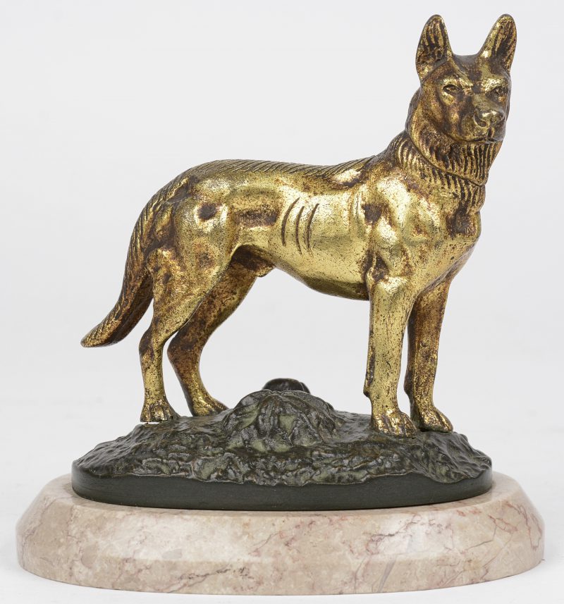 “Jachthond”. Beeldje van verguld en gepatineerd brons op ovale marmeren sokkel.