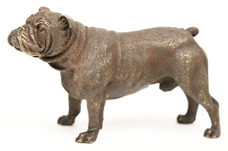 “Bulldog”. Een bronzen beeldje.