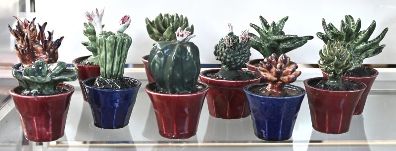 Een lot van elf potjes met vetplantjes en cactussen van meerkleurig geglazuurd Belgisch aardewerk. Enkele beschadigingen.