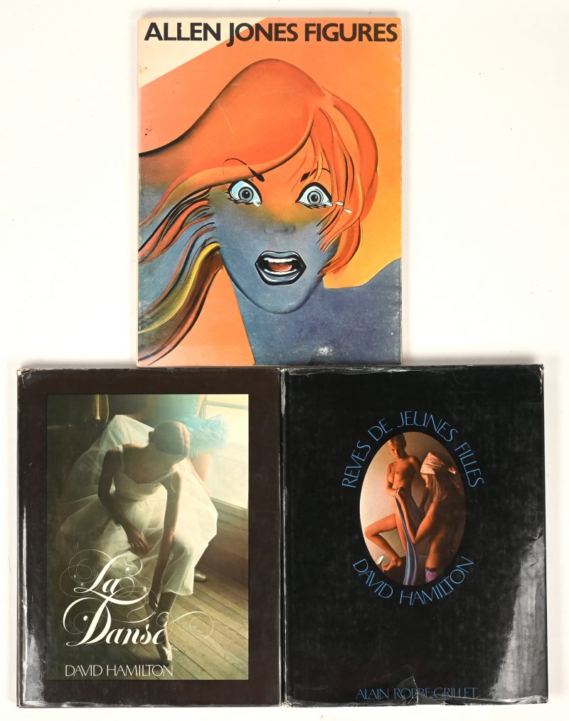 “Allen Jones Figures”, “Reves de jeunes filles” en “La danse” Een lot kunstboeken.