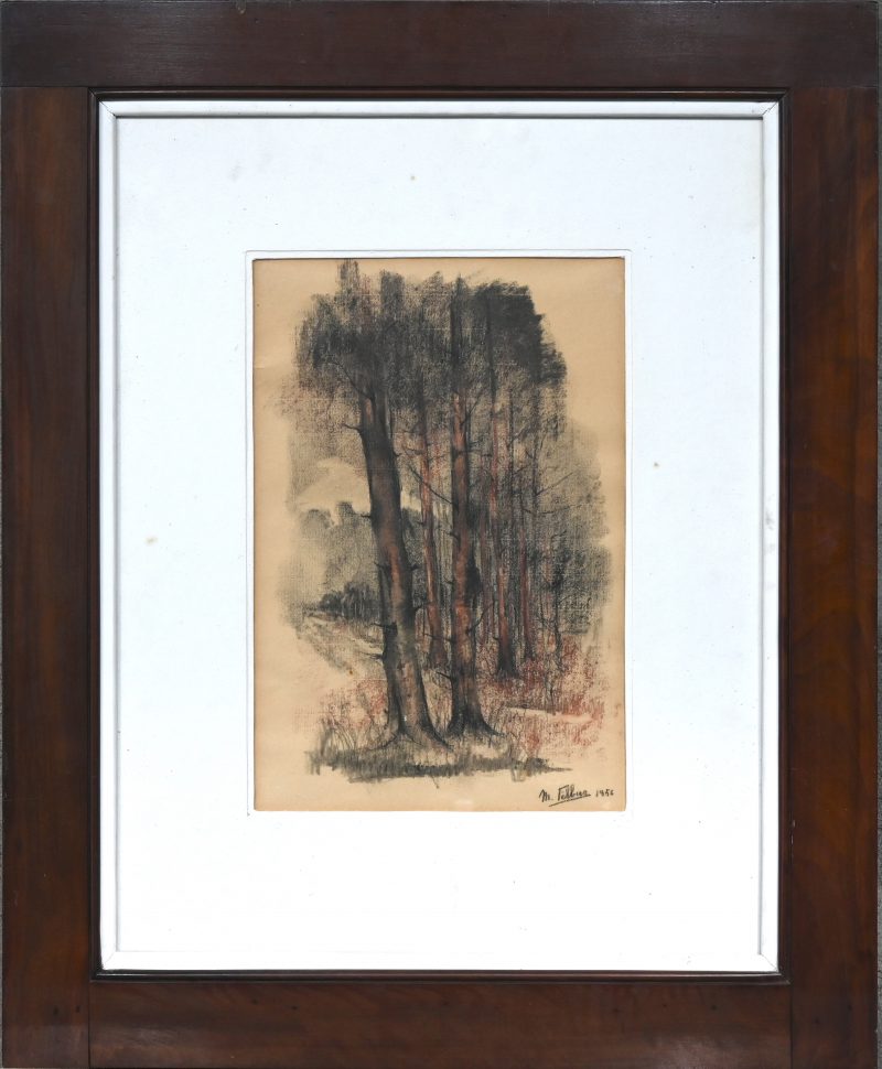 “Bomen”. Houtskool en pastel op papier. Gesigneerd en gedateerd 1956.