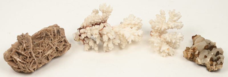 Een lot bestaande uit een woestijnroos, een kwartsformatie en twee stukkel koraal.