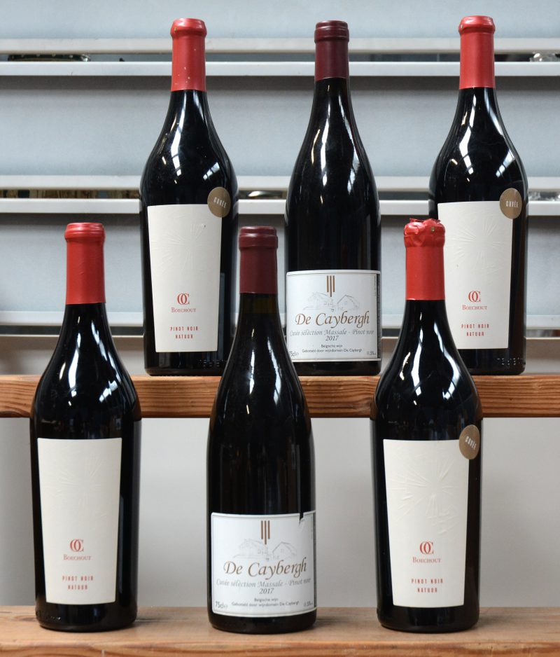 Lot rode wijn        aantal: 6 Bt.    Oud Conynsbergh Pinot Noir natuur Boechout   M.D.  2018  aantal: 4 Bt.    De Caybergh cuvée sélection Massale - Pinot Noir Haspengouw   M.D.  2017  aantal: 2 Bt.