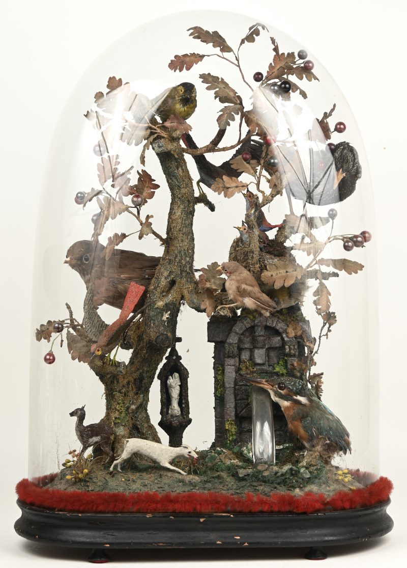 “Een natuurdiorama met opgezette vogels en diertjes van papier-maché.” Onder glazen stolp.