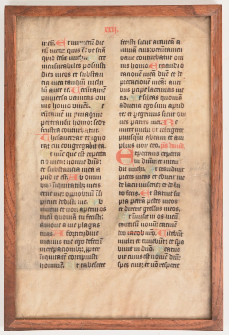Een ingekaderde brevierpagina in Latijns handschrift, 18de eeuws.