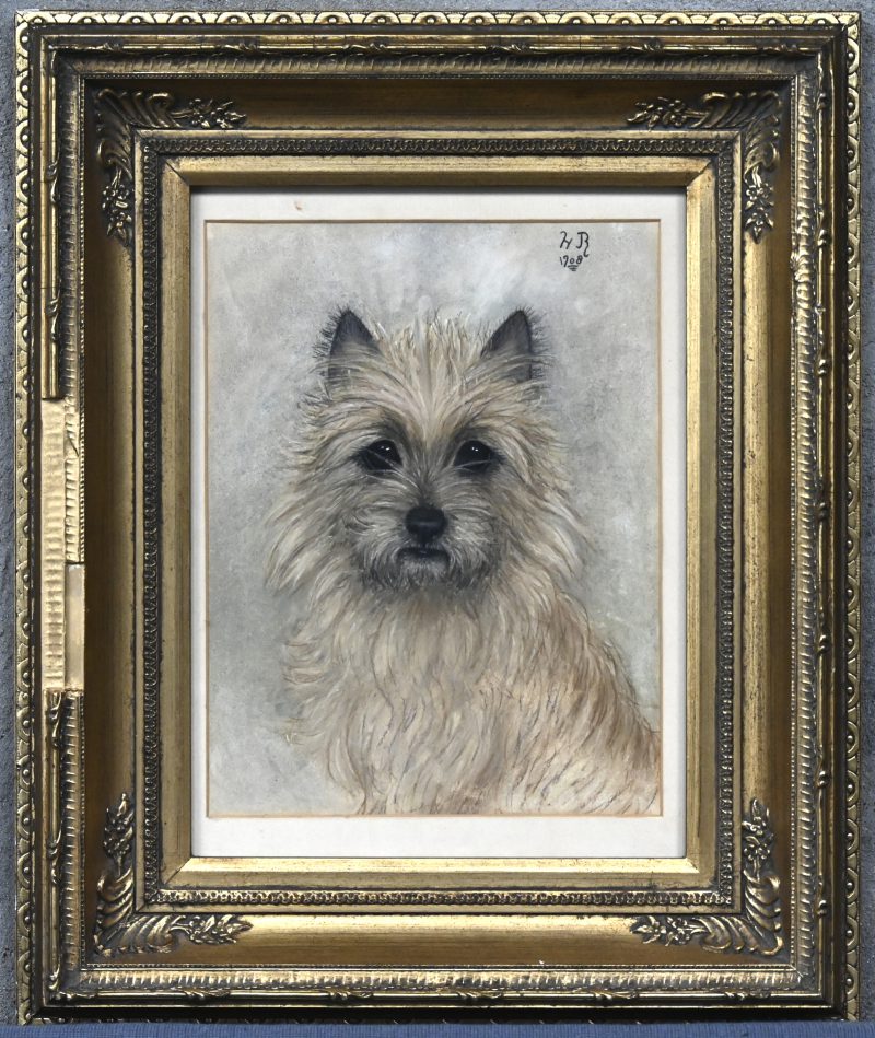 “Portret van een Cairn Terrier.” Gemengde techniek op papier. Draagt monogram H.B. Gedateerd 1908.