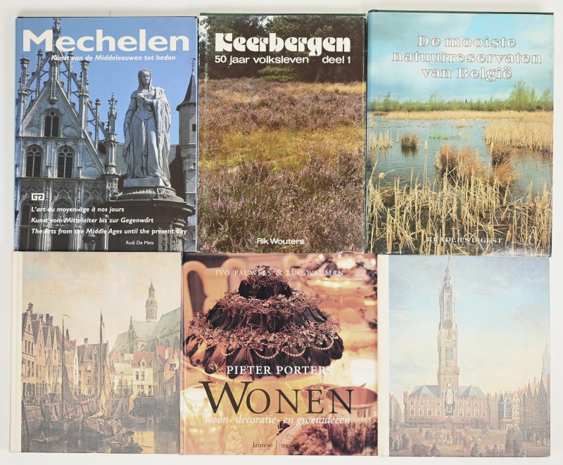 Een lot boeken met Belgisch geografisch, cultureel thema. Bijgevoegd boek met interieur thema “Pieter Porter”.