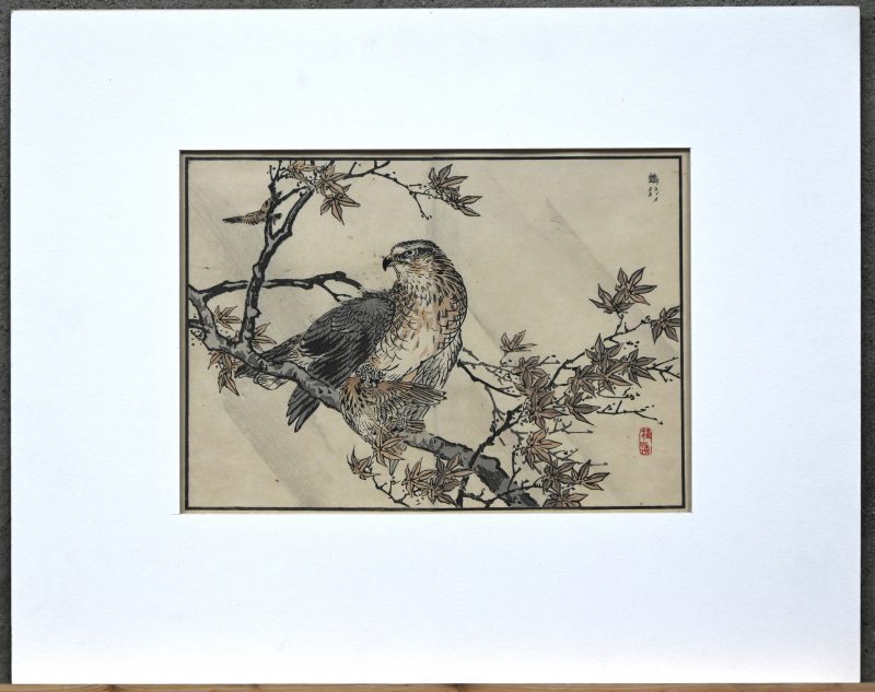 Een Japanse houtsnede uit ‘Bairaï’s album of onehundred birds - 1884.’