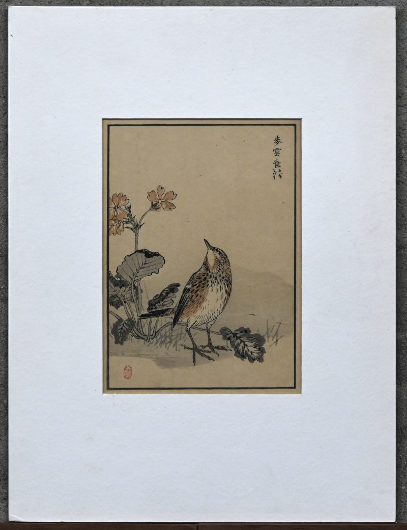 Een Japanse houtsnede met de voorstelling van een vogel, ‘Skylark an Flower’, Kono Bairei, 1844-1895.