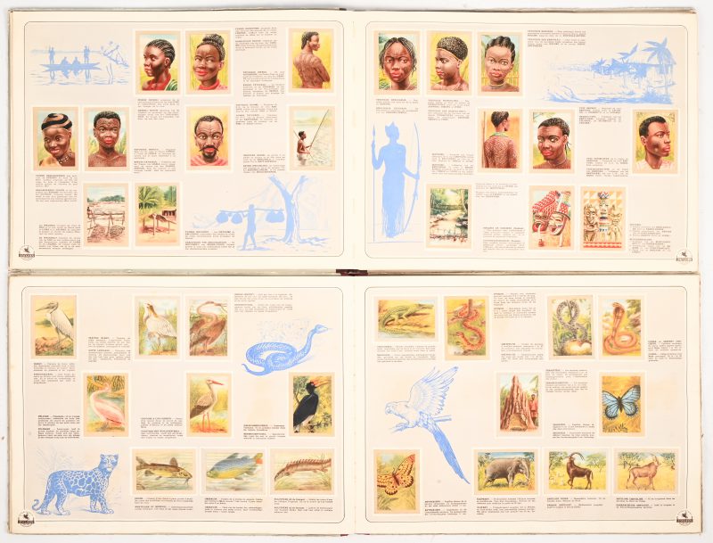 Een paar prent verzamelboeken getiteld “Onze Kongo”, uitgave Jacques Superchocolade.