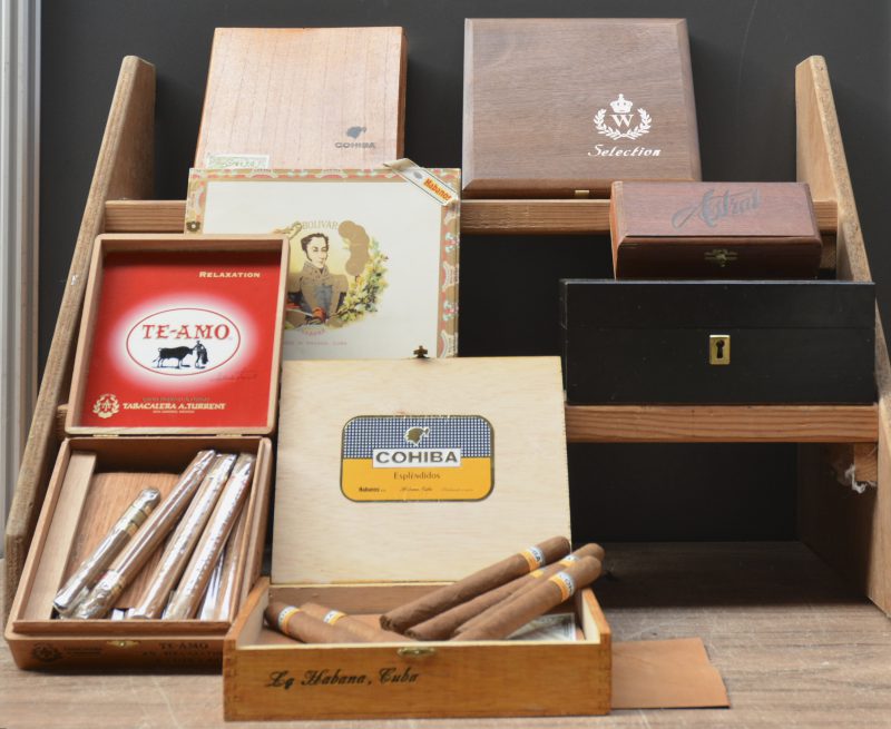 Collectie sigaren: Cohiba , Bolivar, Te Amo, Havana, Sumatra, Brasil etc. evenals een humidor (schade), eveneens met sigaren Einde XXste eeuw     aantal: