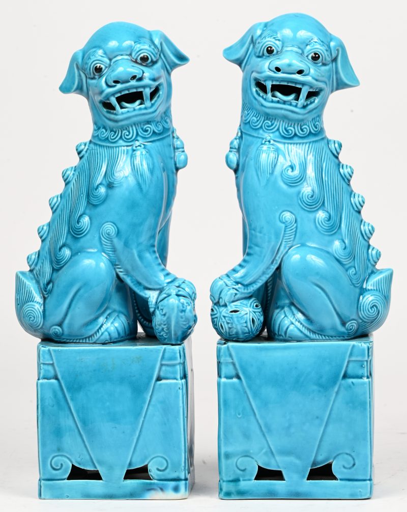 Een set van 2 blauw porseleinen Fo-dogs.