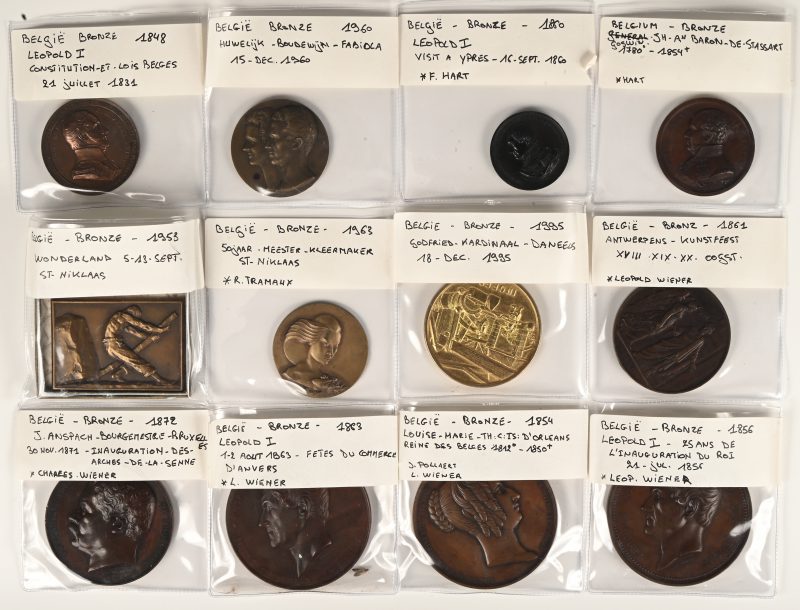 Een lot van 12 bronzen penningen uit de 19de en 20ste eeuw door Wiener, Hart, Tramaux. e.a.