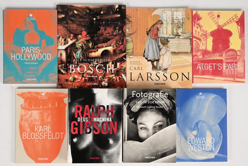Een lot van 8 Taschen kunstboeken, waaronder “Deus ex Machina” door Ralph Gibson, “Fotografie van de 20e eeuw” door Museum Ludwig Keulen, 4 serie Icons, Hieronymous Bosch en Carl Larsson.