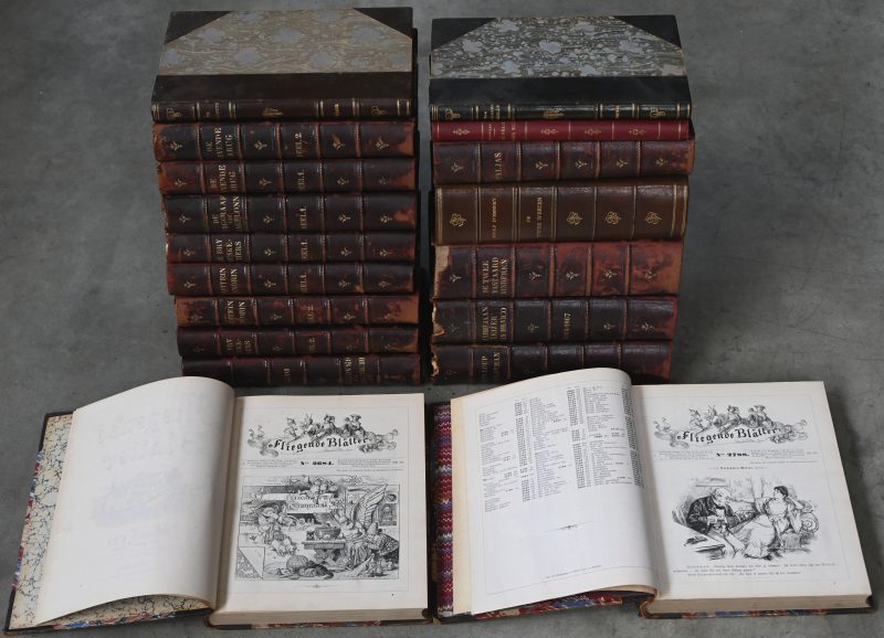 Een lot boeken met diverse thema’s, waaronder “De Dry Musketiers”, “De twee bastaardkinderen”, “De twee wezen”, etc. 19e eeuws literatuur.
