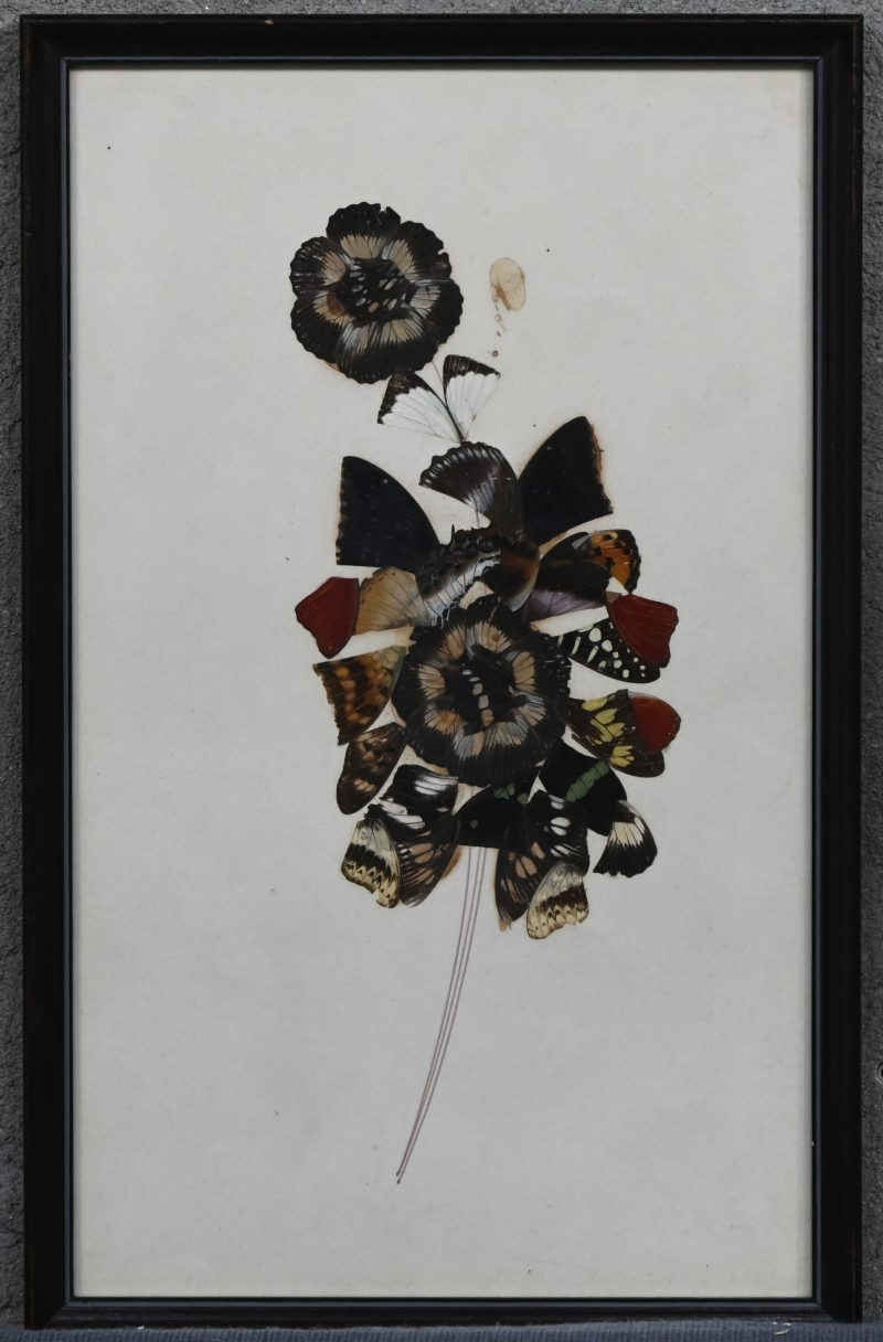 “Vlinderbloem”. Een met vlindervleugels belegde compositie in bloemvorm, mixed media op papier.