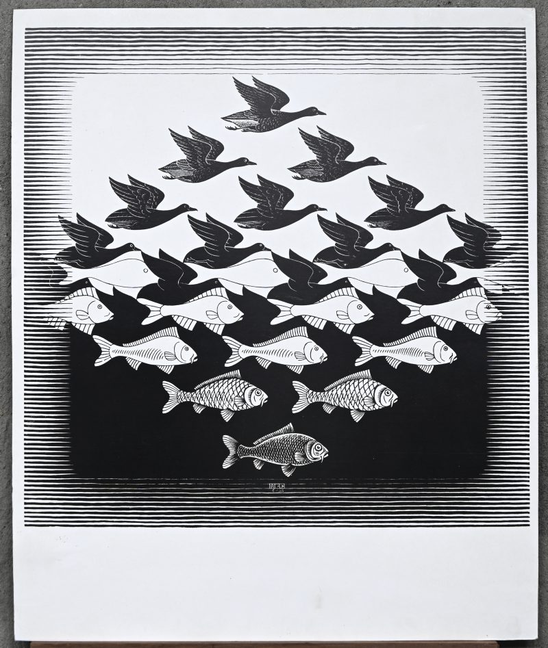 “Overgang van eend naar vis.” Print.