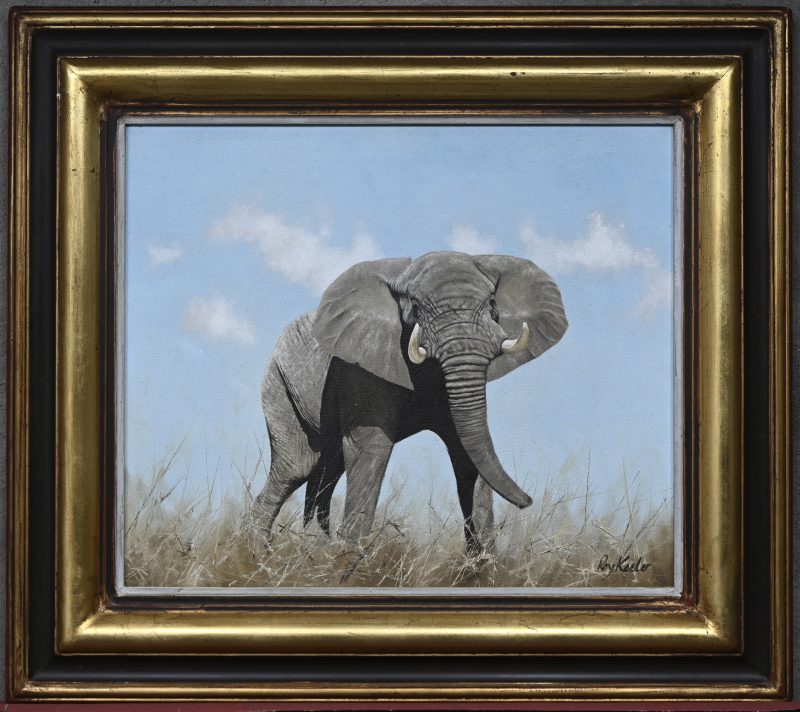 “Afrikaanse olifant”. Schilderij olieverf op doek. Gesigneerd.