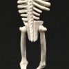 Een skelet met armen over het hoofd, gesculpteerd uit gewei. Vermoedelijk duits werk.