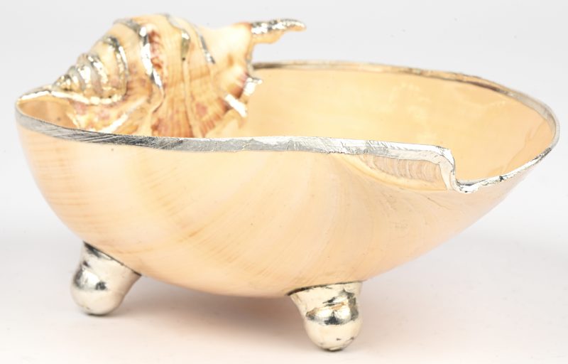 Een decoratief schaaltje uit schelp met kleinere schelp binnenin en verzilverde rand.