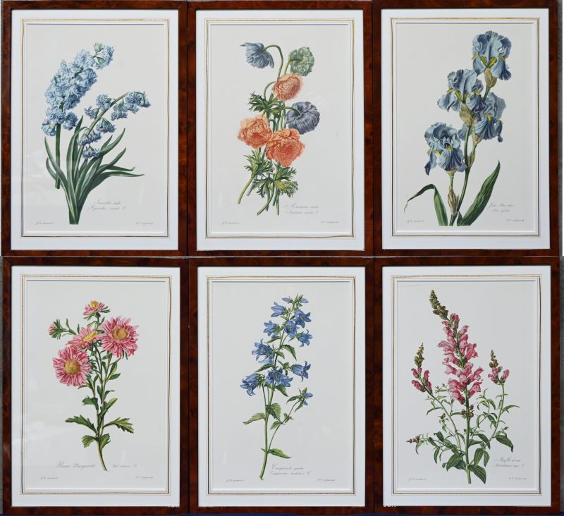 Een lot van 6 prints op papier met floraal thema, in kader.