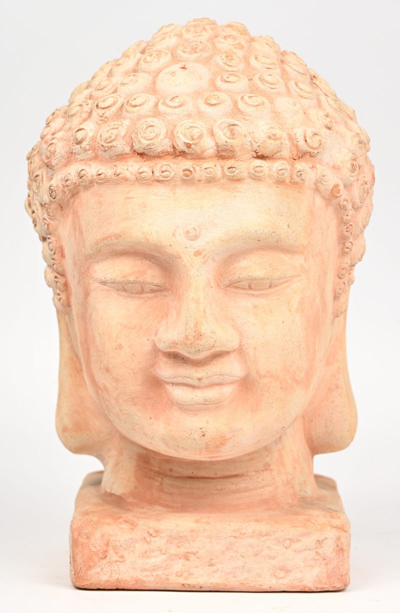 Buddha hoofd met duizend krullen in terracotta. Chinees werk.