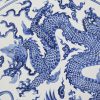 Een groot formaat Chinees porseleinen schotel. Blauw-wit met draak en floraal decor.