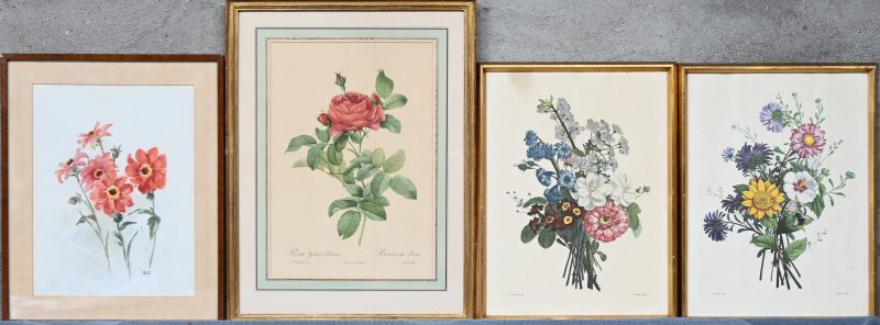 Een lot van 4 prints op papier met floraal thema. Diverse afmetingen.
