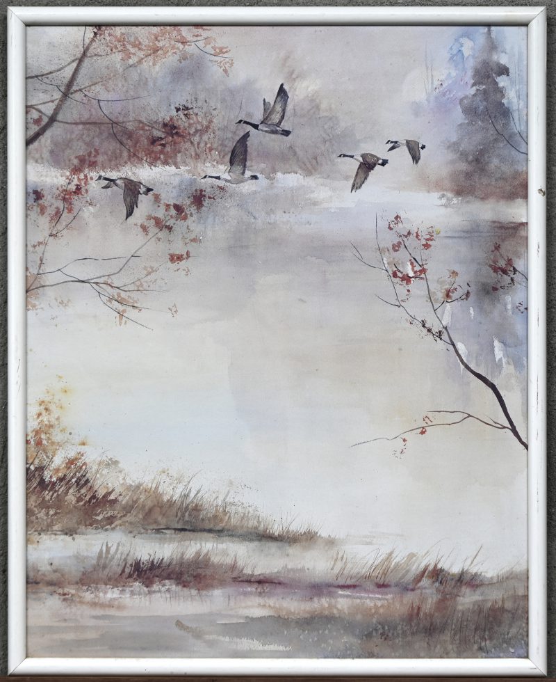 Een print naar een aquarel met Canadese ganzen.