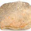 Een uit steen gesculpteerd gelaat uit “Nieuw Spanje”.