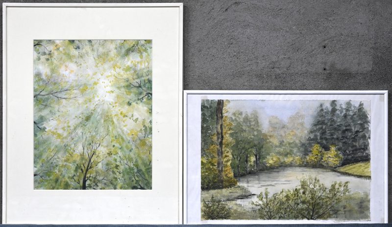 “Parkzicht” & “gebladerte”. Een paar aquarellen op papier. Zonder signatuur.