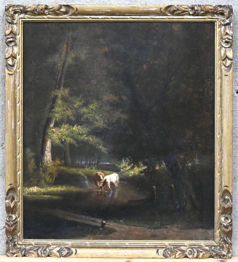 “Koeien bij de Drenkplaats”. Olieverf op paneel. XIXde eeuw.