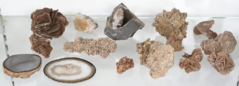 Een lot van 14 mineralen, waarvan woestijnrozen en kristallen.