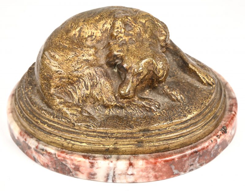 Een verguld bronzen beeldje van een liggende hond op marmeren voet. Onderaan gesigneerd “Cifle”.