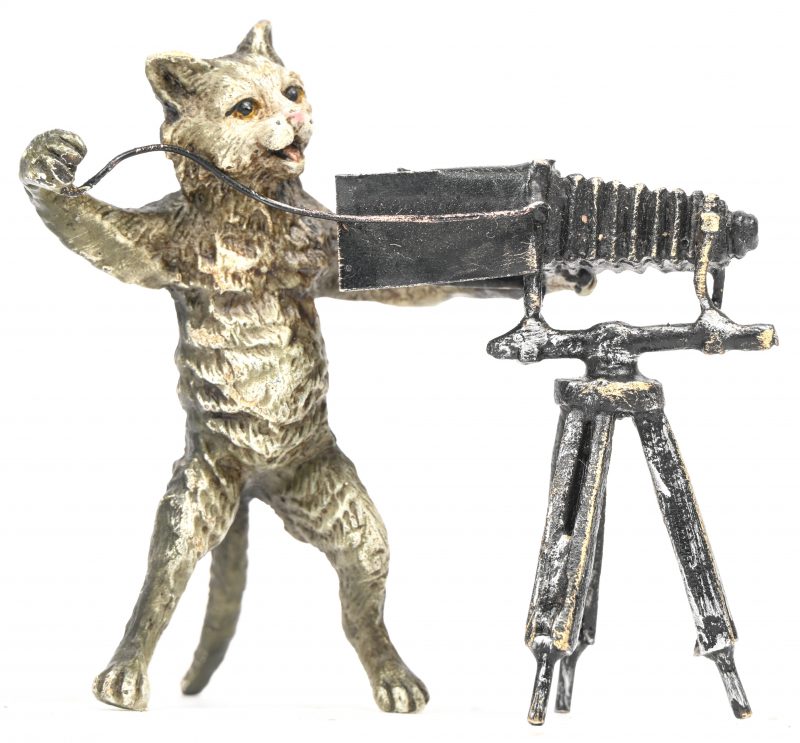 Een koud gepolychromeerde kat met camera van brons.