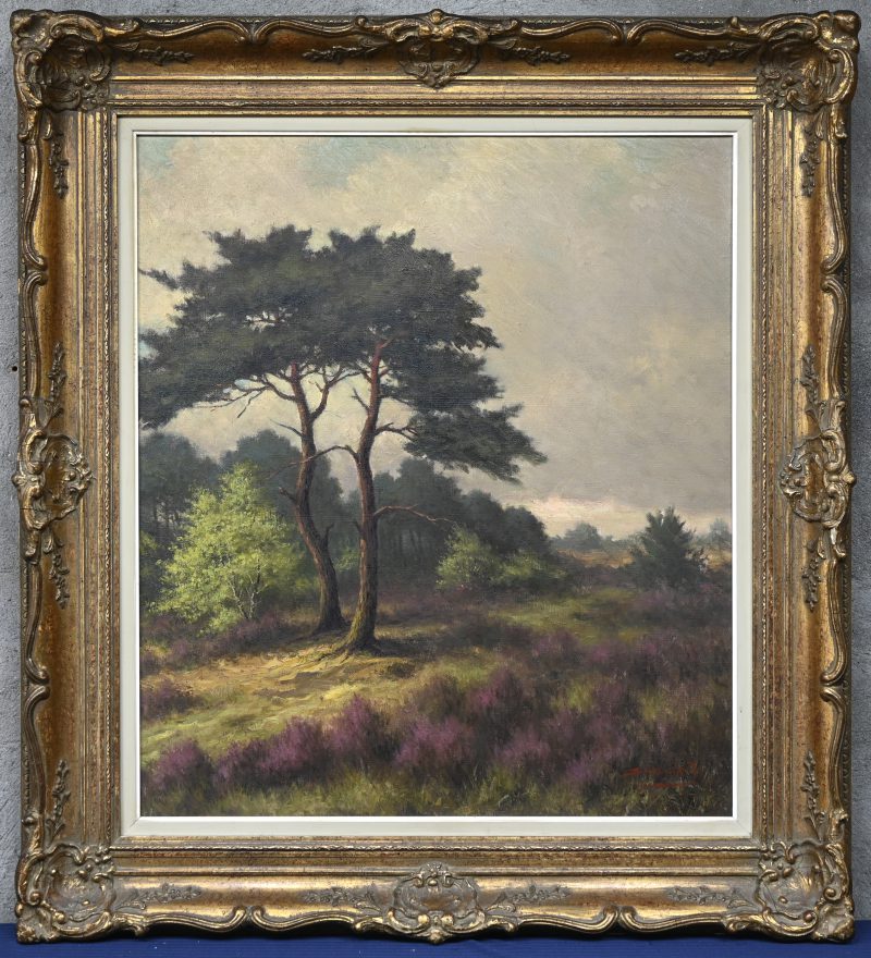 “Twee bomen op de heide”. Een schilderij, olieverf op doek. Onderaan gesigneerd.