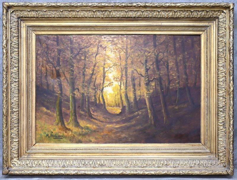 “Boszicht in de herfstzon”. Een schilderij, olieverf op doek. Onderaan gesigeerd.