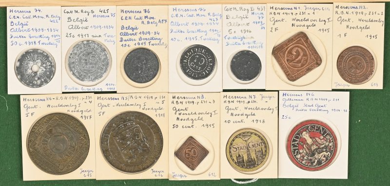 Lot van 12 geldstukken, Albert I & Gent,  Duitse bezetting. 50 c, 1918, Zn, 25 c, 1917 Zn, 10 c 1915, 1917 Zn, 5 c, 1916, Zn. 2 Bef  1915, 1 Bef 1915, 50 c 1915, 5 Bef 1917 & 1918, alle Cu. 25 c & 10 c, beide Gent, karton.