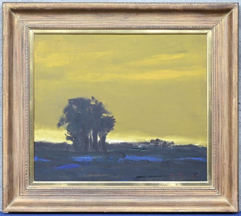 “Avondzon op de heide”, een schilderij, olieverf op doek, gesigneerd De Pauw.