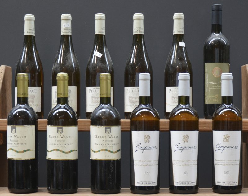 Lot witte wijn        aantal: 12 bt    Falanghina I.G.T. Beneventano  Corte dei Baroni M.O.  2006  aantal: 1 bt    Gewürztraminer D.O.C. Alto Adige  Elena Walch, Tramin M.O.  2003  aantal: 3 bt    Gewürztraminer Campaner D.O.C. Alto Adige  Kellerei Kaltern M.O.  2002  aantal: 3 bt    Harmonie de Gascogne V.d.P. Côtes de Gascogne  Dom. de Pellehaut, Montréal de Gers M.O.  2009  aantal: 5 bt