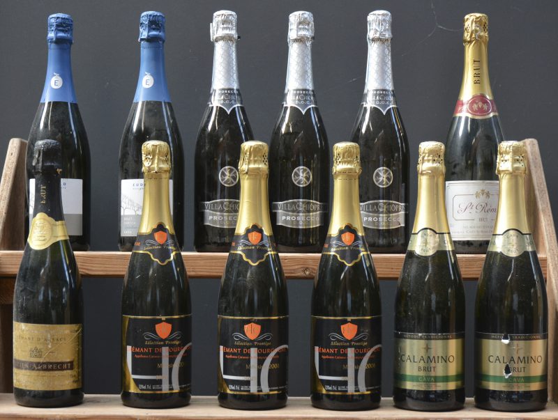 Lot schuimwijn        aantal: 12 bt    Crémant d’Alsace Brut A.C.  Lucien Albrecht, Orschwihr     aantal: 1 bt    Prosecco D.O.C.  Villa Chiopris, San Giovanni al Natisone     aantal: 3 bt    Crémant de Bourgogne Sélection Prestige Brut A.C.  Cave des Hautes Côtes M.O.  2008  aantal: 3 bt    Calamino Brut D.O. Cava  Coniusa, Sant Sadurni d’Anoia M.O.    aantal: 2 bt    Cava Brut Familia D.O. Cava  Eudald, Massana Noya M.O.    aantal: 2 bt    St Rémy Brut Vin Mousseux de Qualité  Caves St Rémy, Desom M.O.    aantal: 1 bt