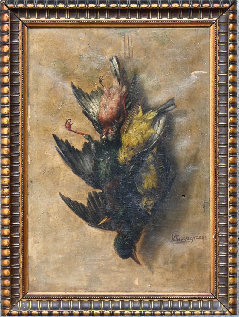 “Vogel stilleven”. Een schilderij, olieverf op doek. Onderaan gesigneerd. Gaatje in het doek en verfschade bovenaan.